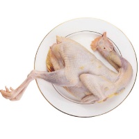 Gà ta thả vườn (gà mái) đã làm sạch
